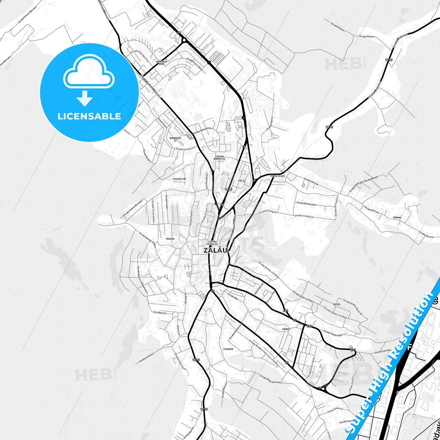 Zalău, Romania Light Map with Street Names, City Names, and Districts