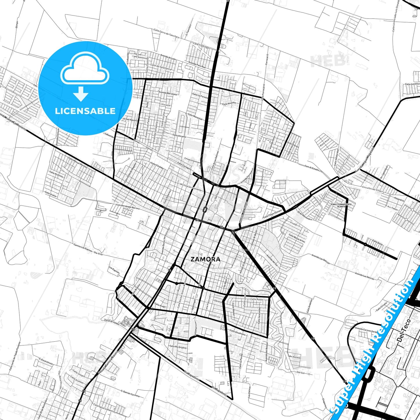 Zamora, Mexico Light Map with Street Names, City Names, and Districts