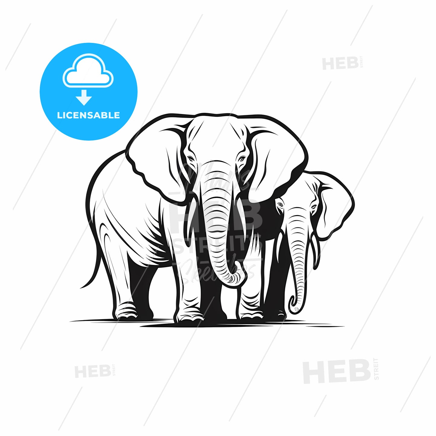 Couple Of Elephants With Tusks