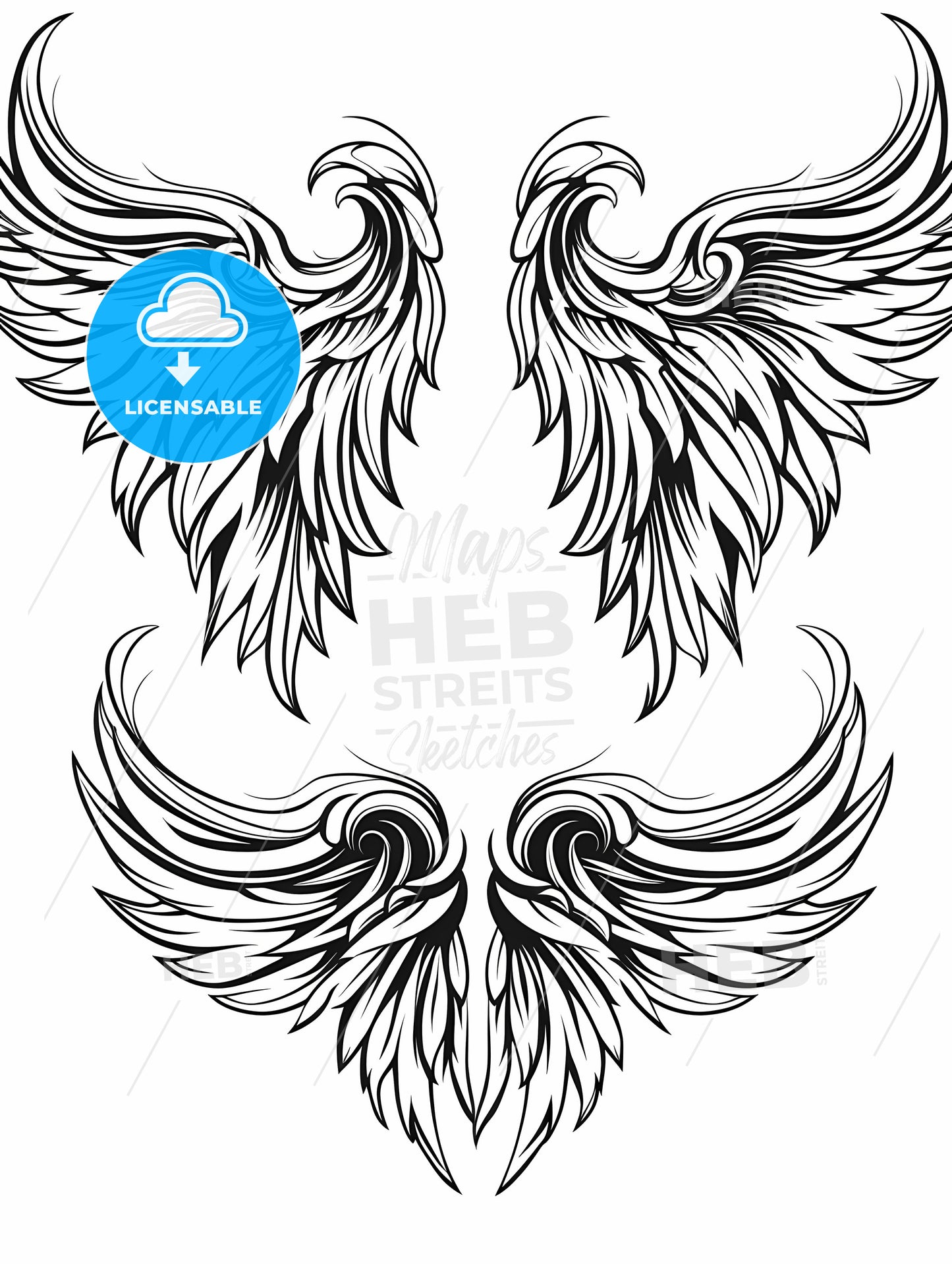 Set Of Wings With Swirls