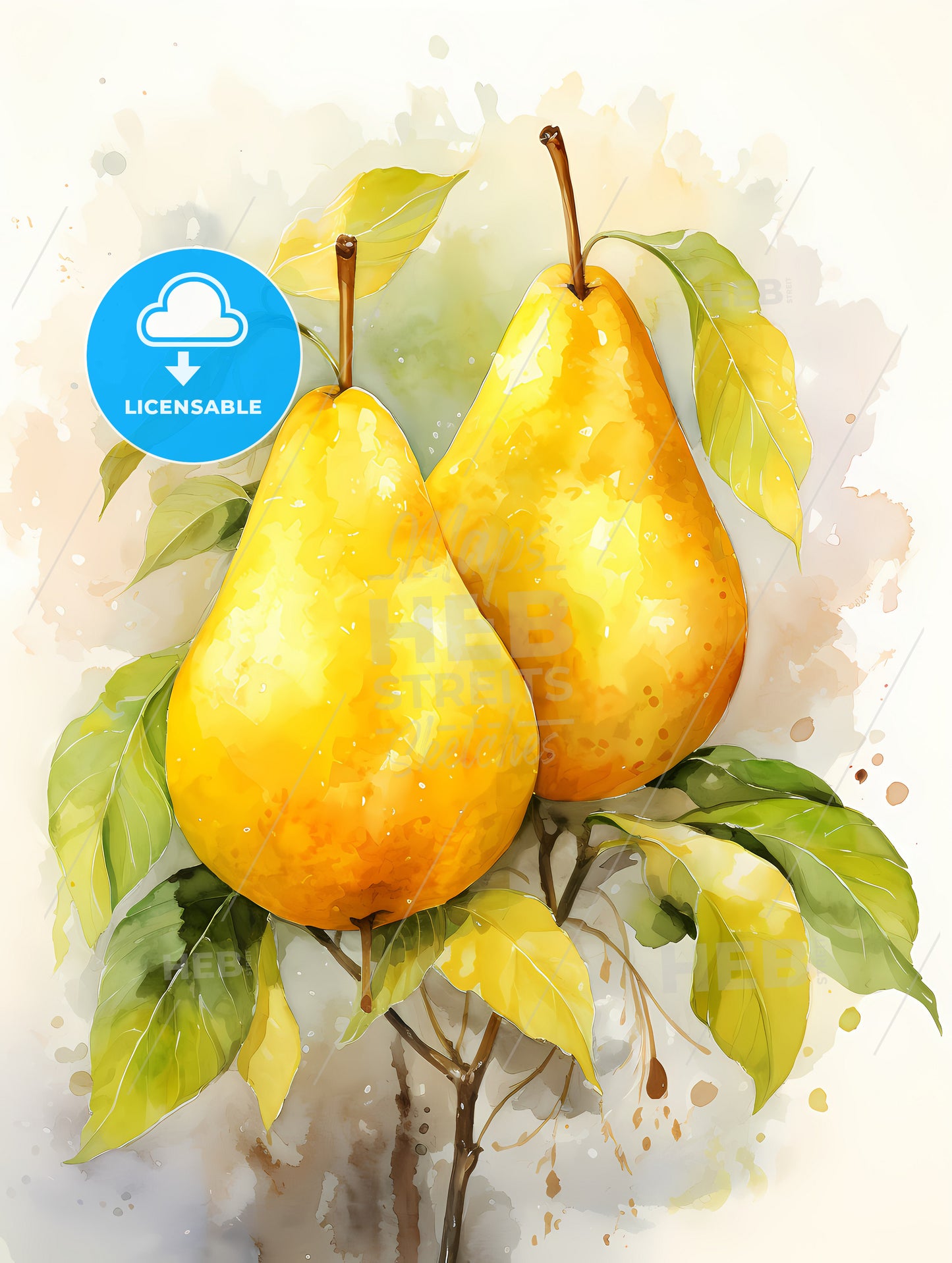 Beautiful ripe yellow pears on a white background