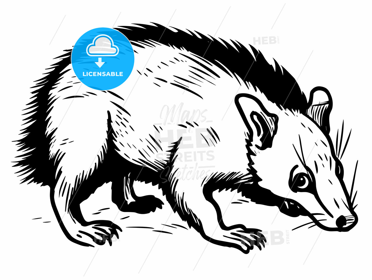flat woodcut of a crawling white opossum rat.