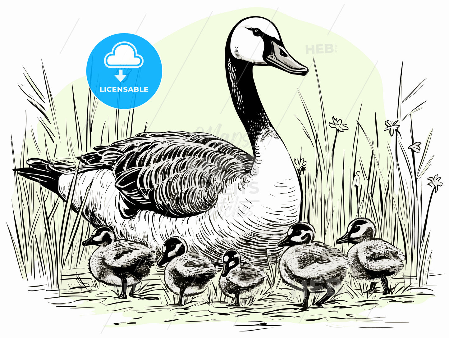 Goose with goslings and eggs on green grass.