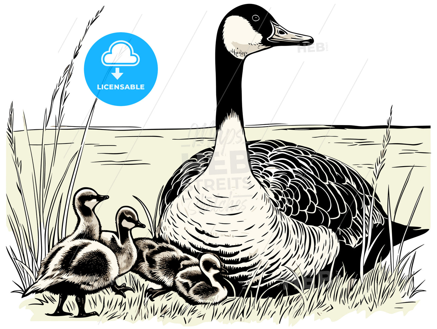 Goose with goslings and eggs on green grass.