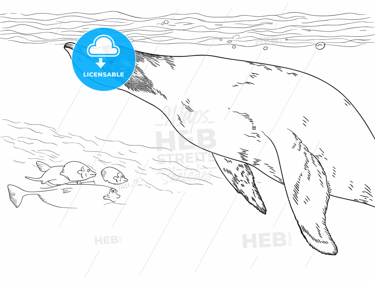 Humboldt penguin underwater with a fish.