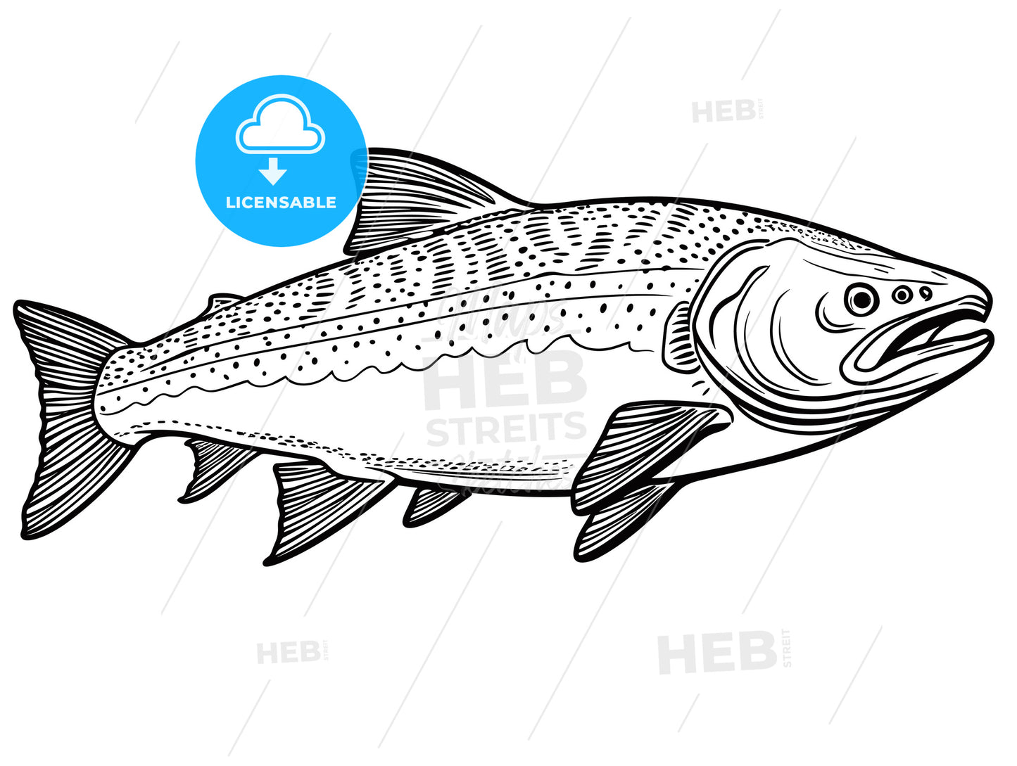 King salmon fish. Hand drawn.