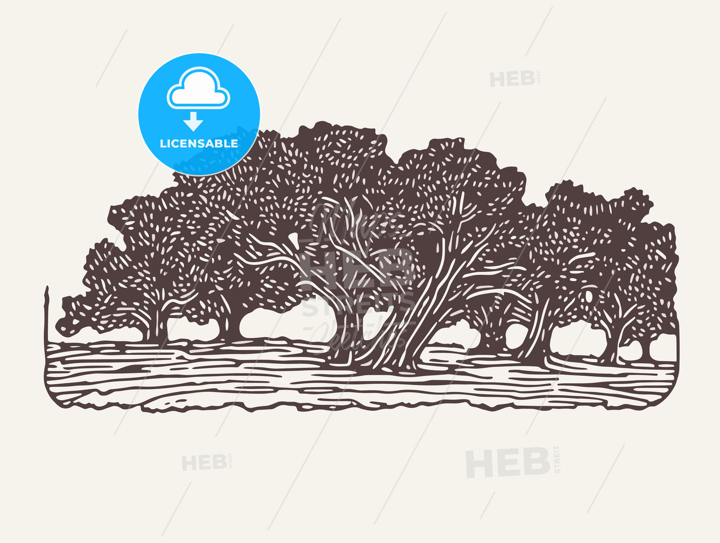 oak museum mailing label.