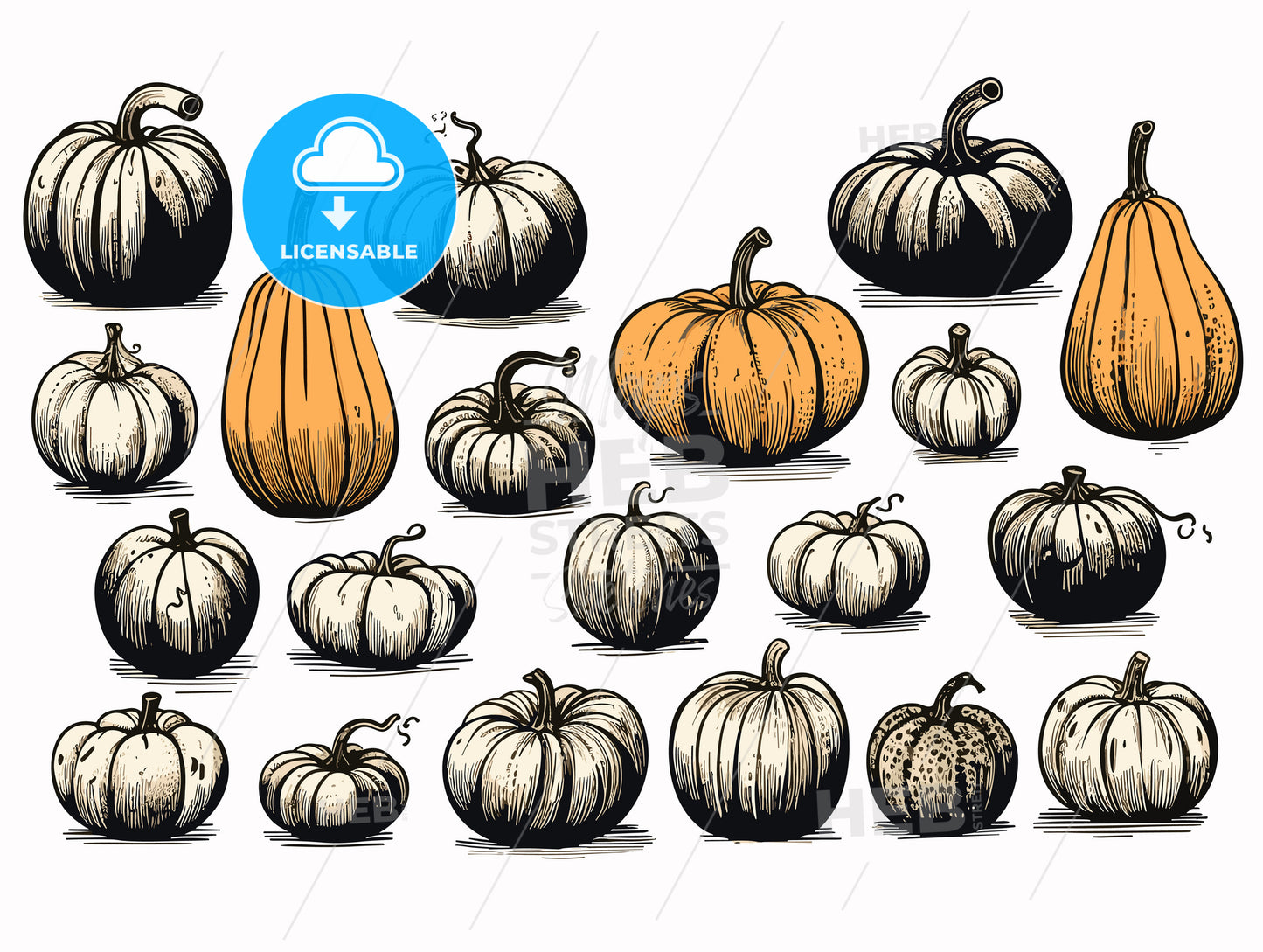 Pumpkins picks and ready for sale.