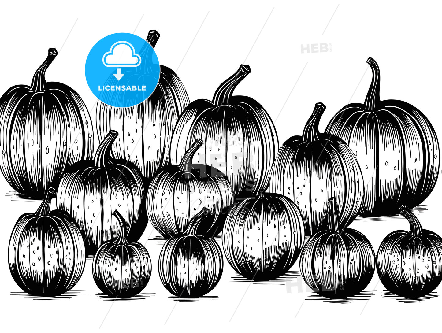 Pumpkins picks and ready for sale.