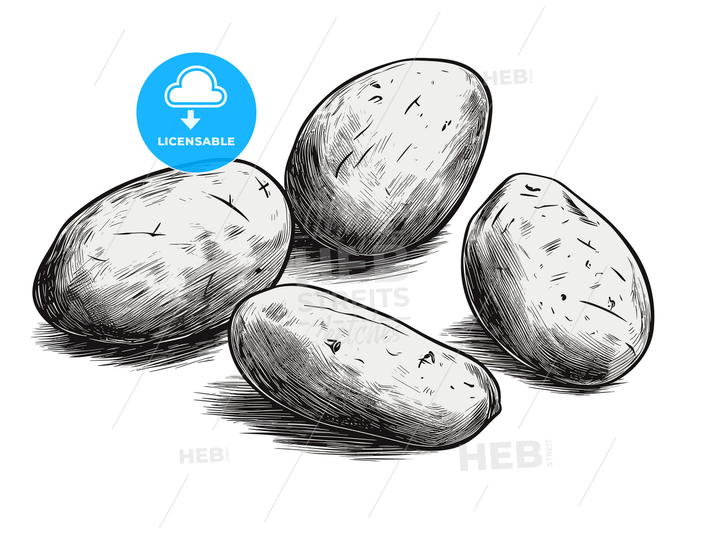 Three potatoes isolate on a white background.