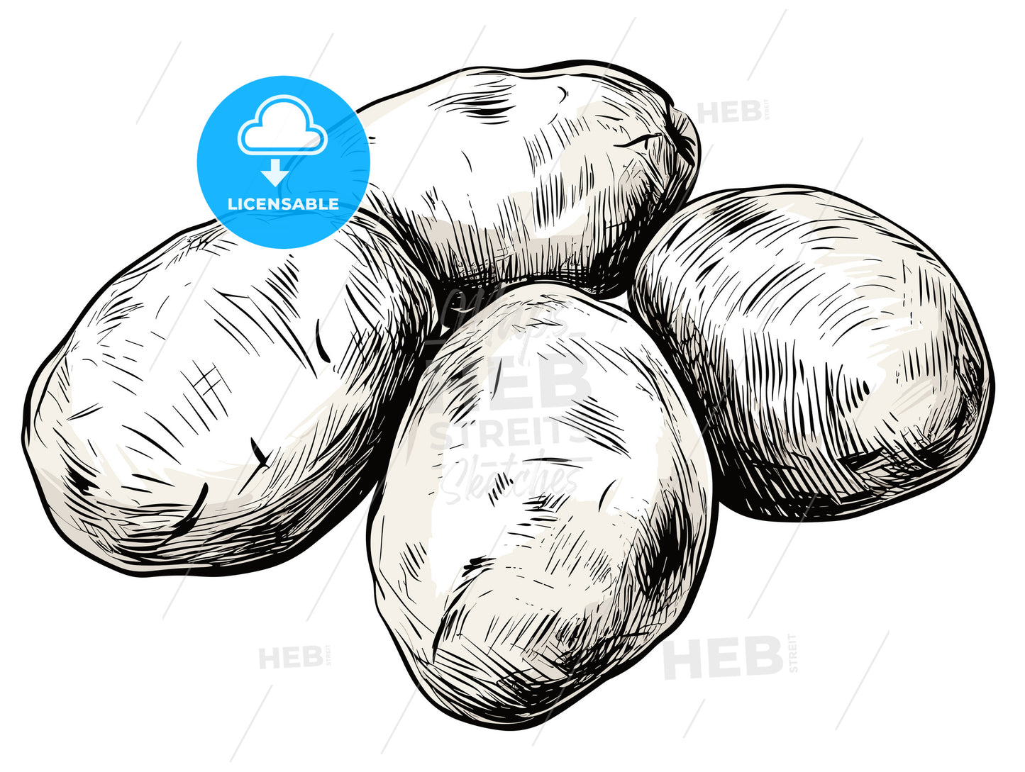Three potatoes isolate on a white background.
