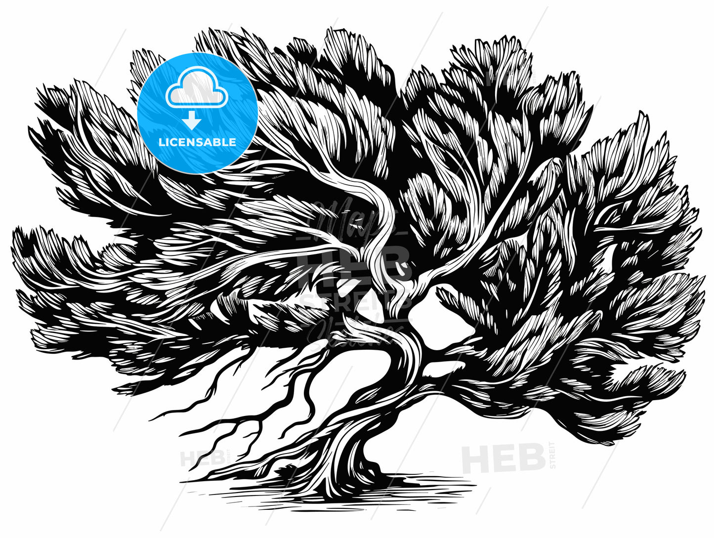 woodcut of a Juniper bush.