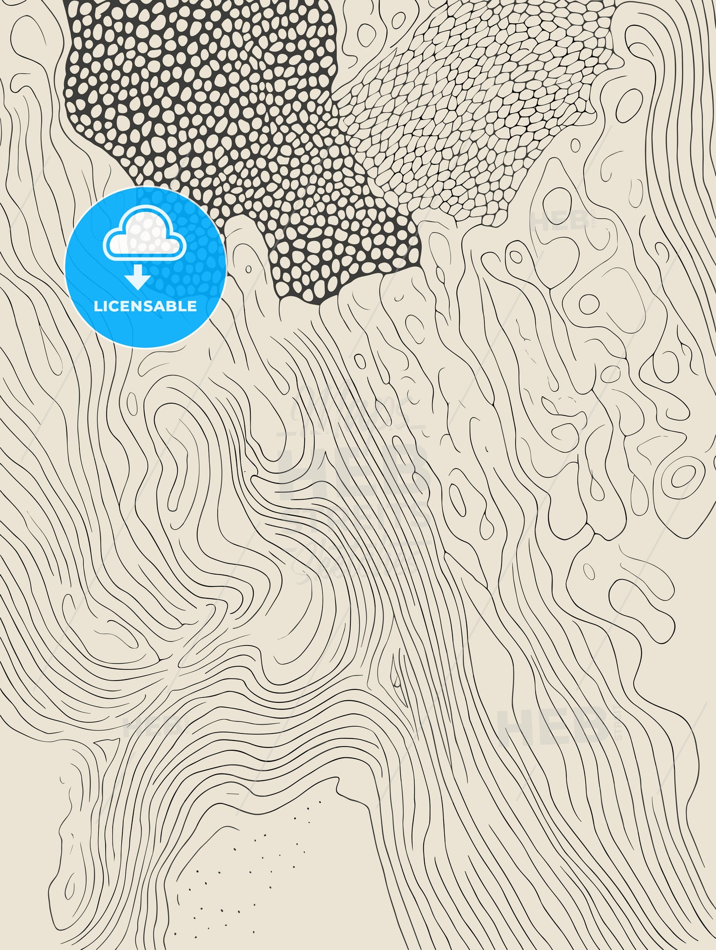 abstract forms