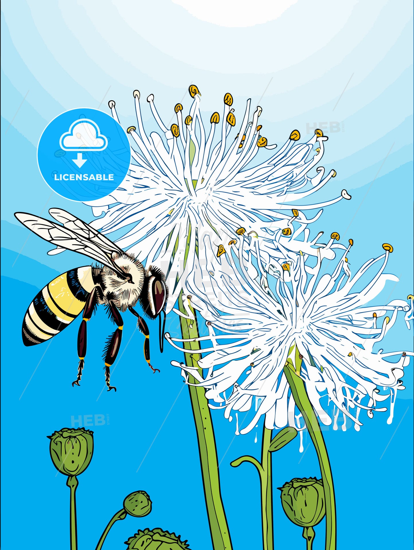 Honey bee on a blue flower pollinating