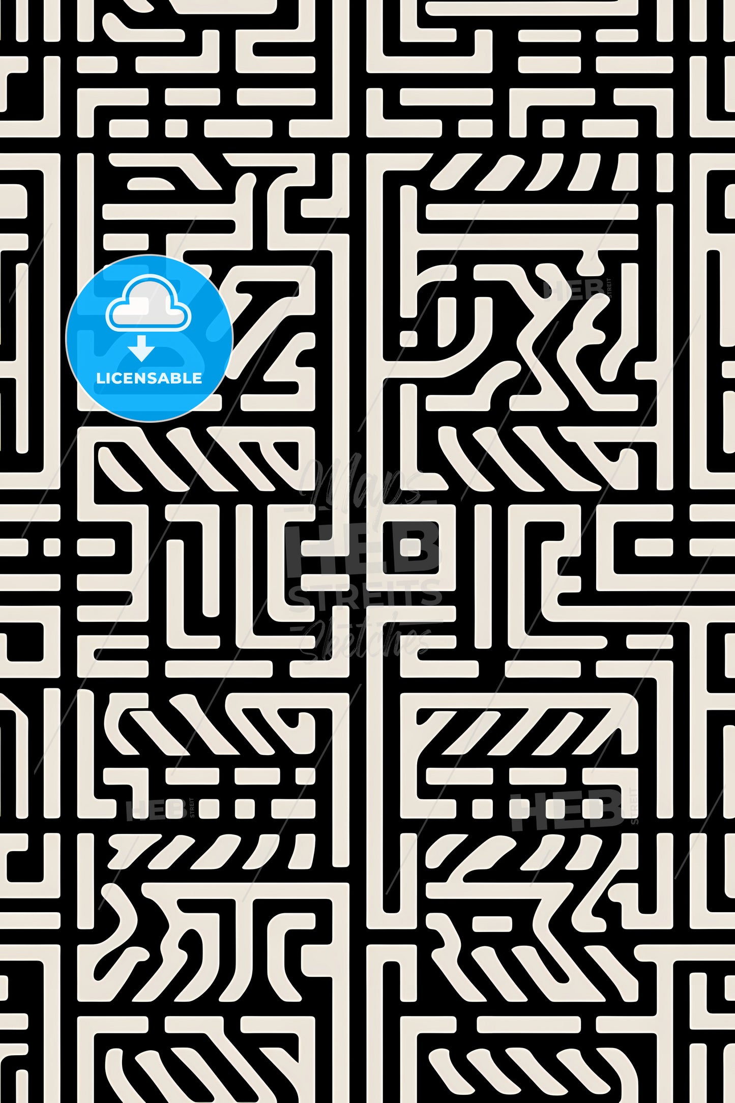 A Black And White Maze