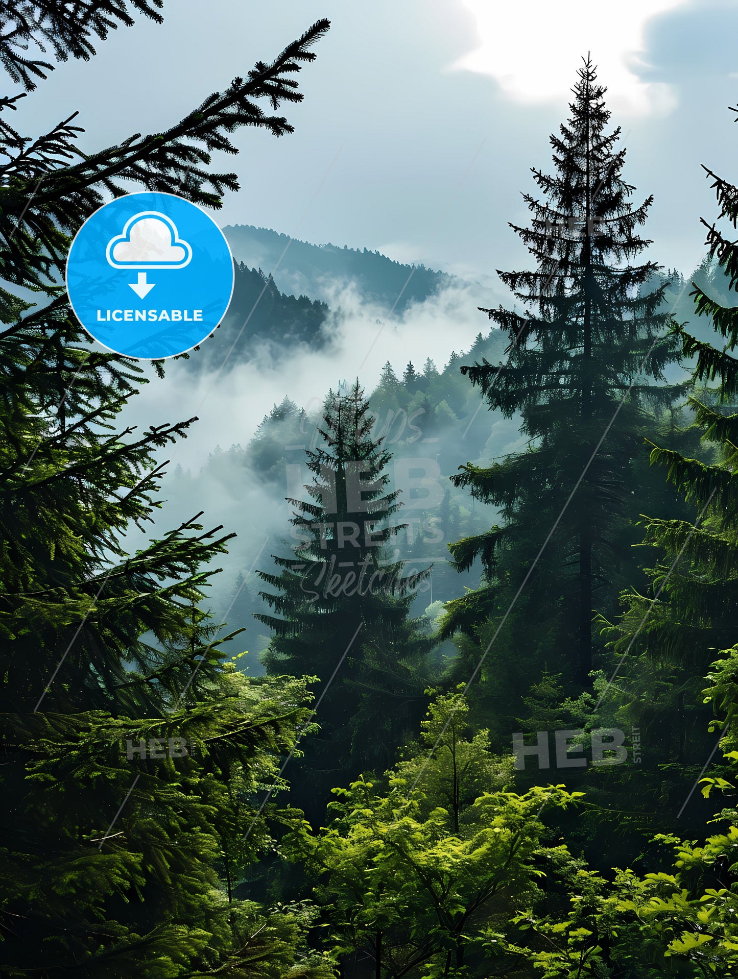 Tree Mountain Forest Near Mist, A Forest With Fog And Mountains In The Background