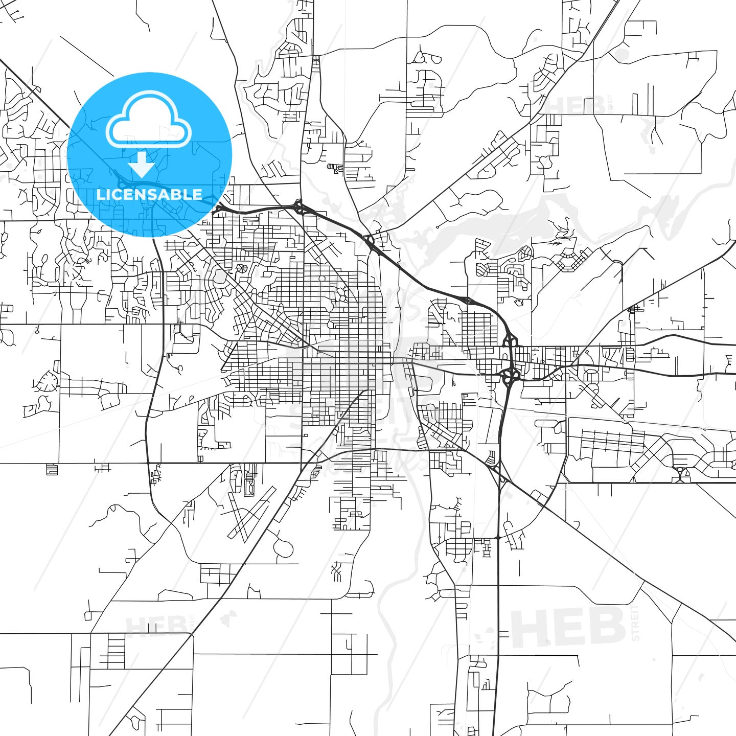 Albany, Georgia - Area Map - Light