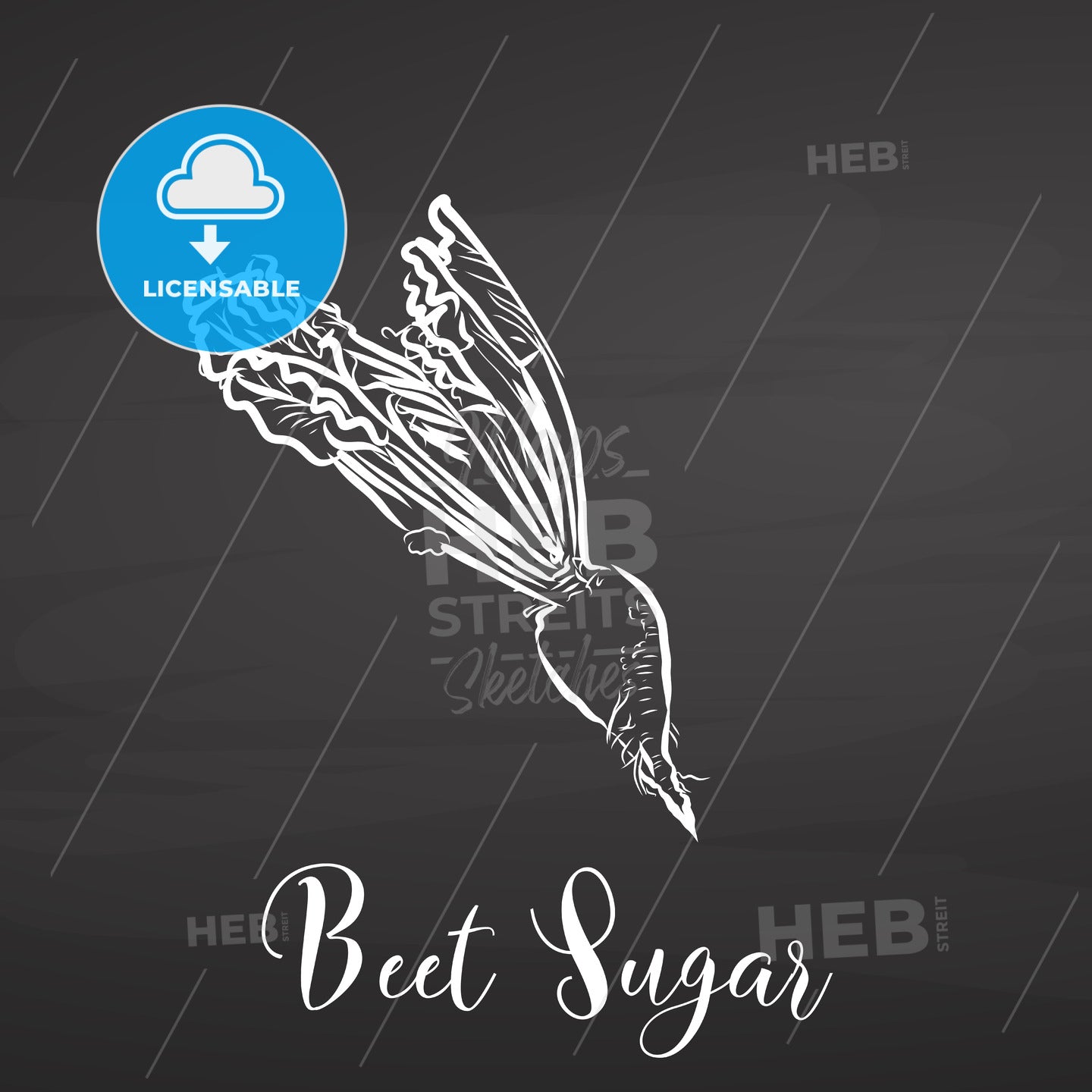 Beet sugar. Chalk on chalkboard. – instant download