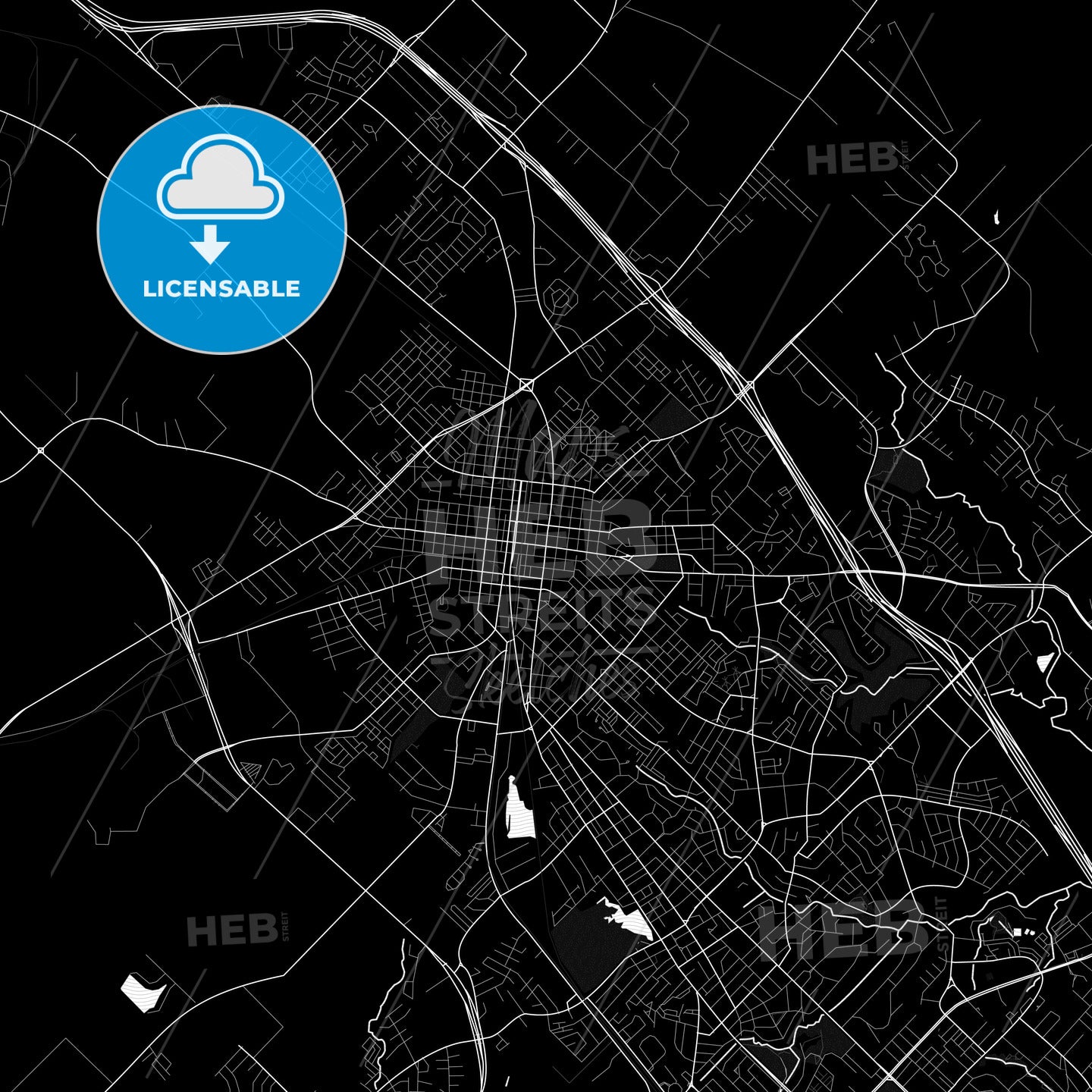 Bryan, Texas, United States, PDF map