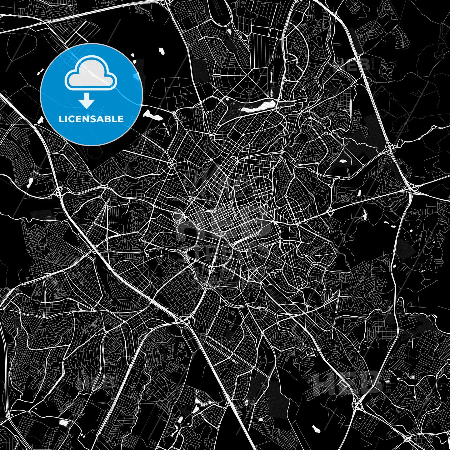Campinas, Brazil PDF map