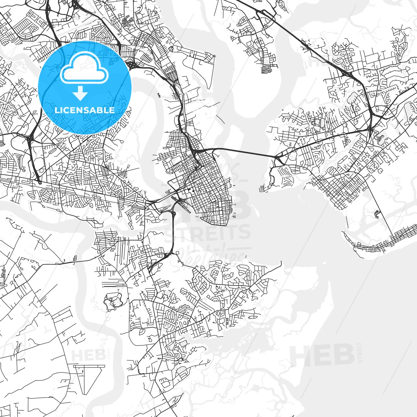 Charleston, South Carolina - Area Map - Light