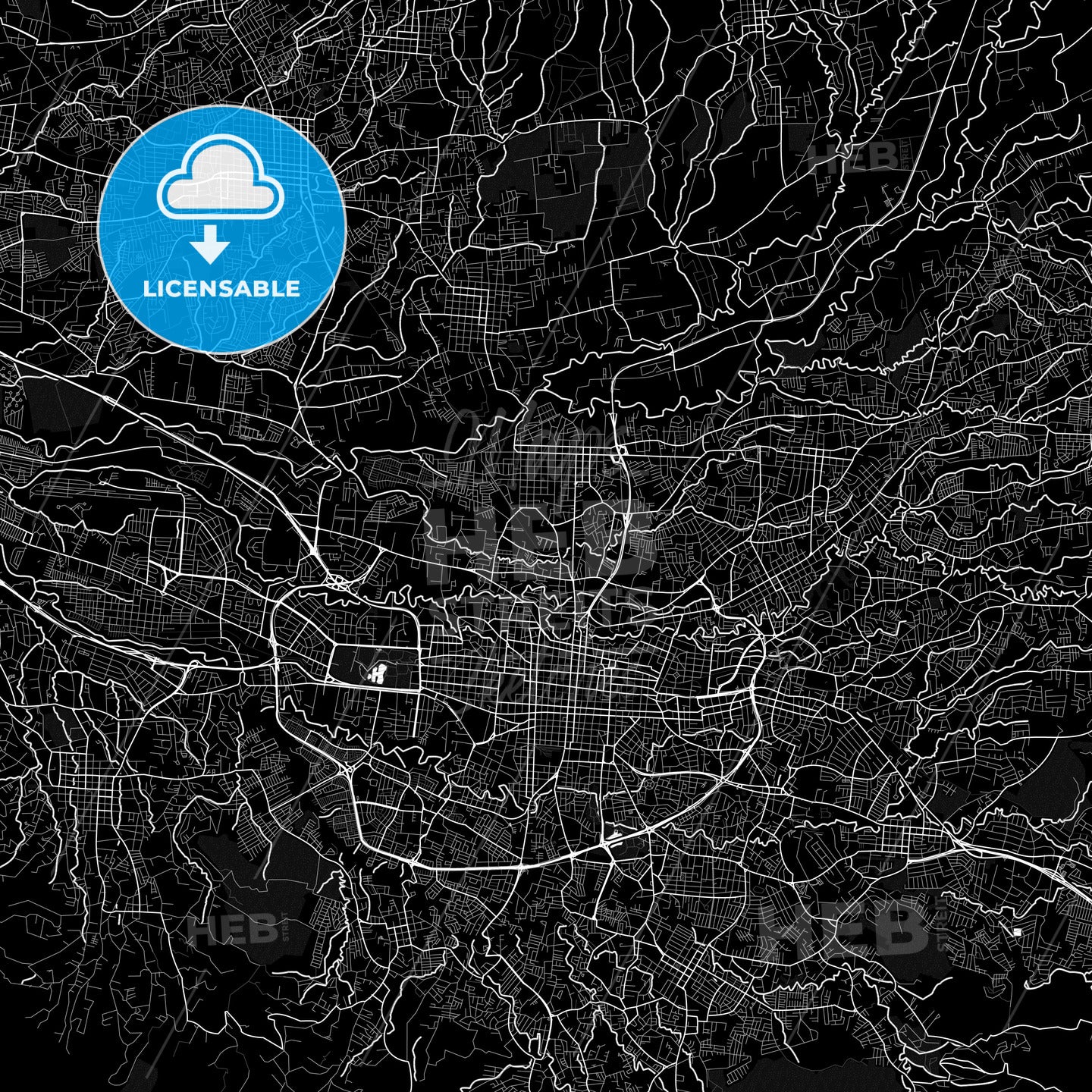 Cinco Esquinas, Costa Rica PDF map