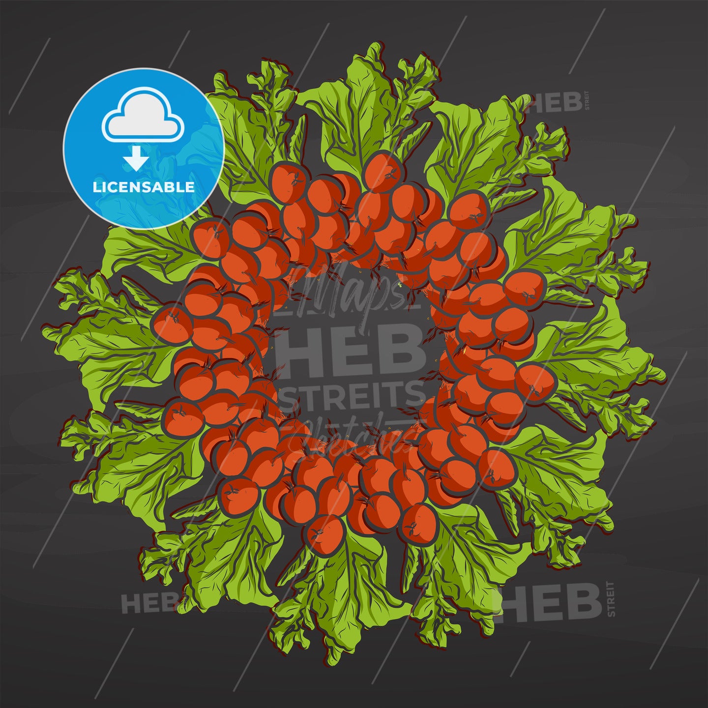 Colorful Radishes arranged in a circle on a blackboard – instant download