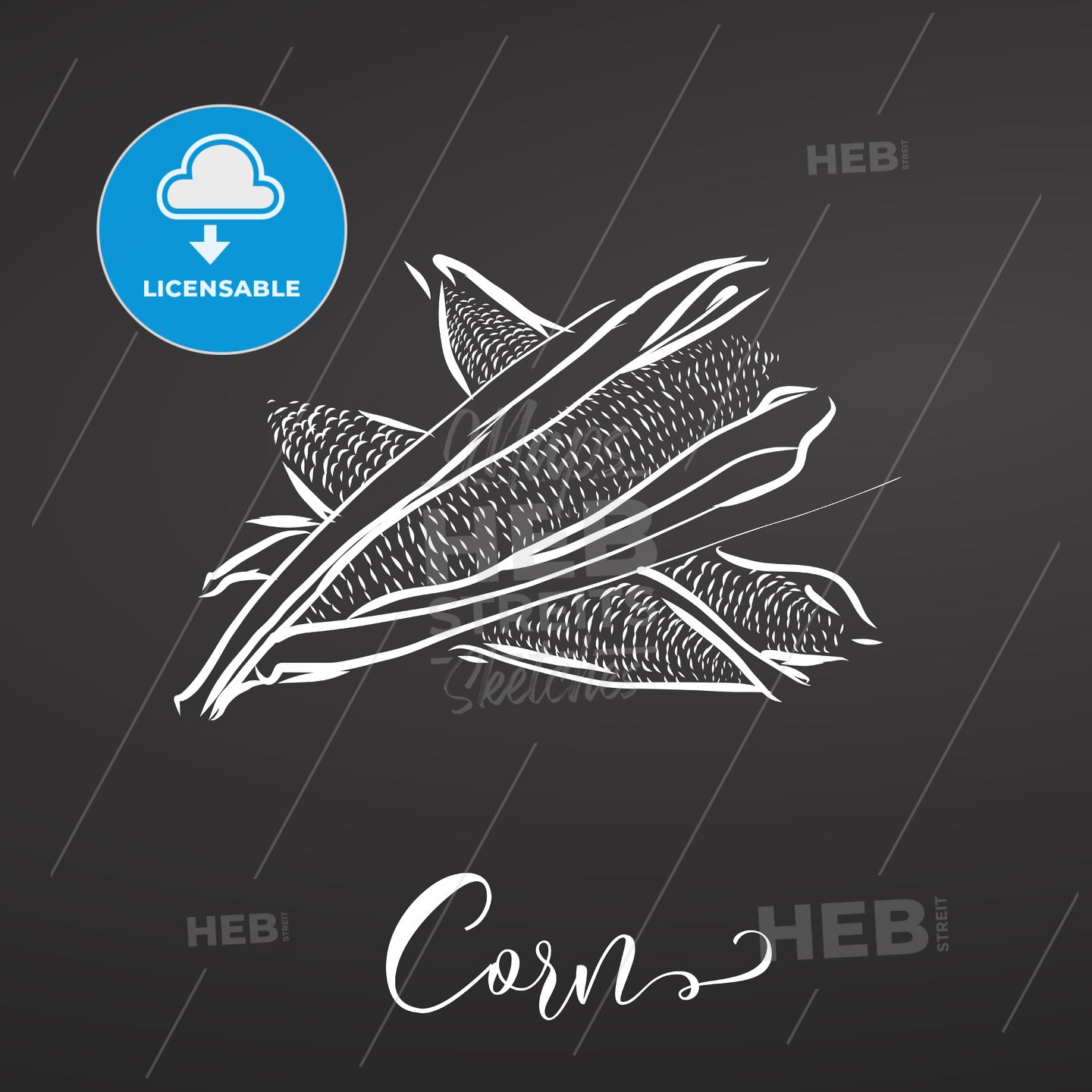 Corn Chalk Illustration on Blackboard – instant download