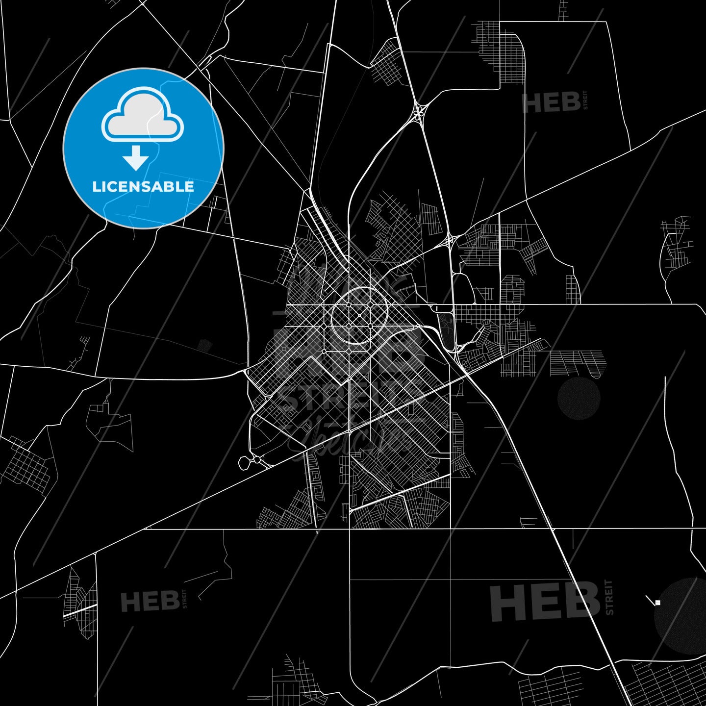 Delicias, Mexico PDF map