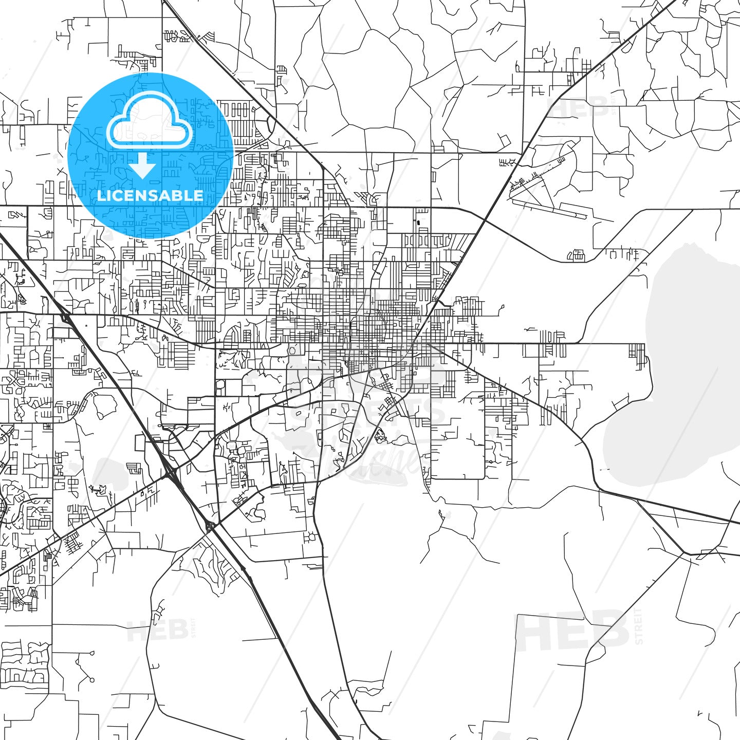 Gainesville, Florida - Area Map - Light