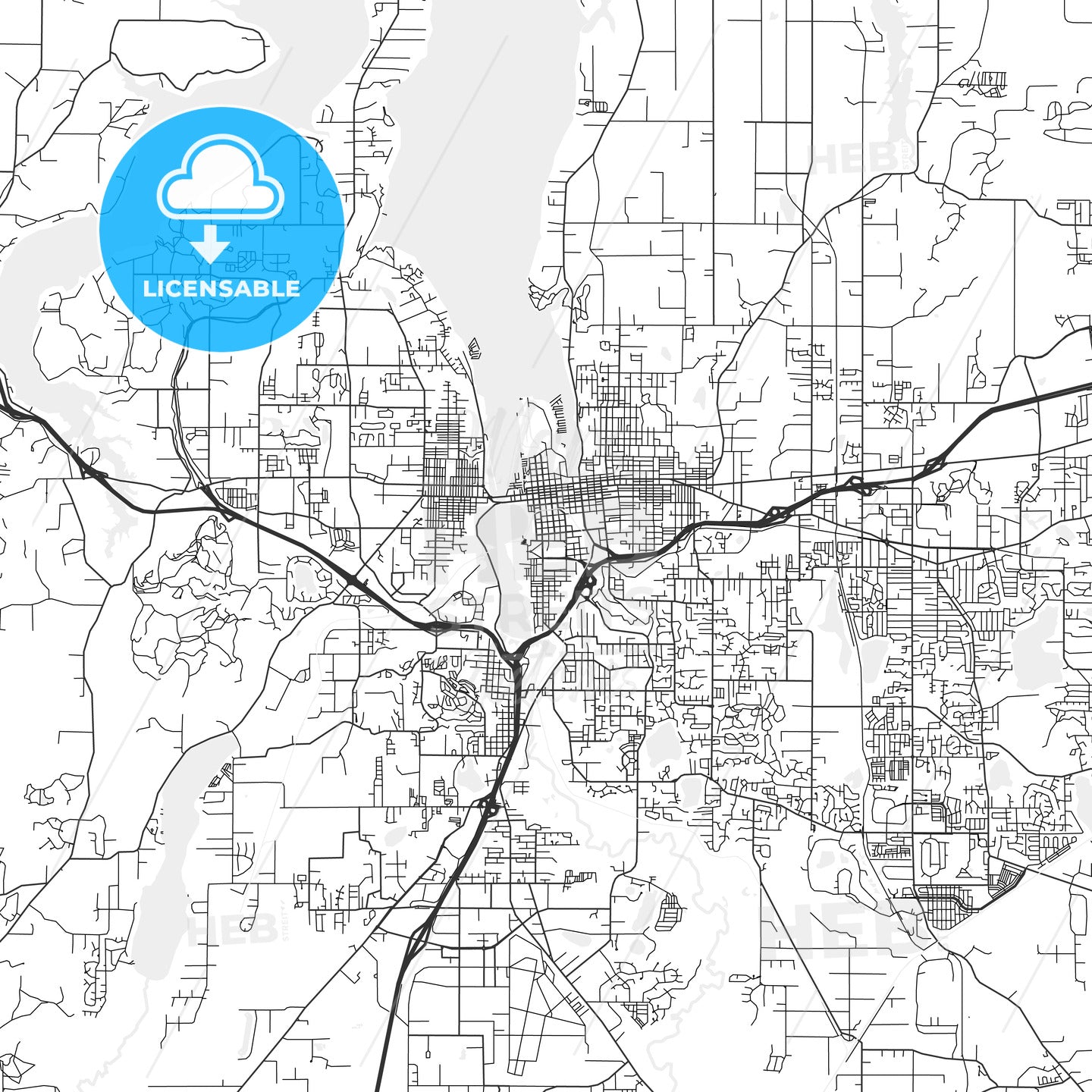 Olympia, Washington - Area Map - Light