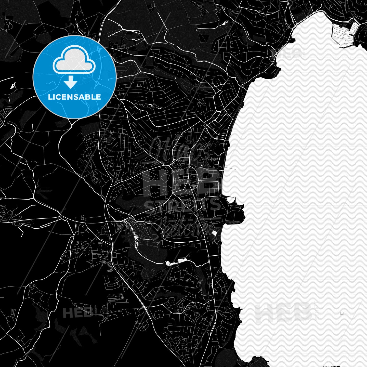 Paignton, England PDF map
