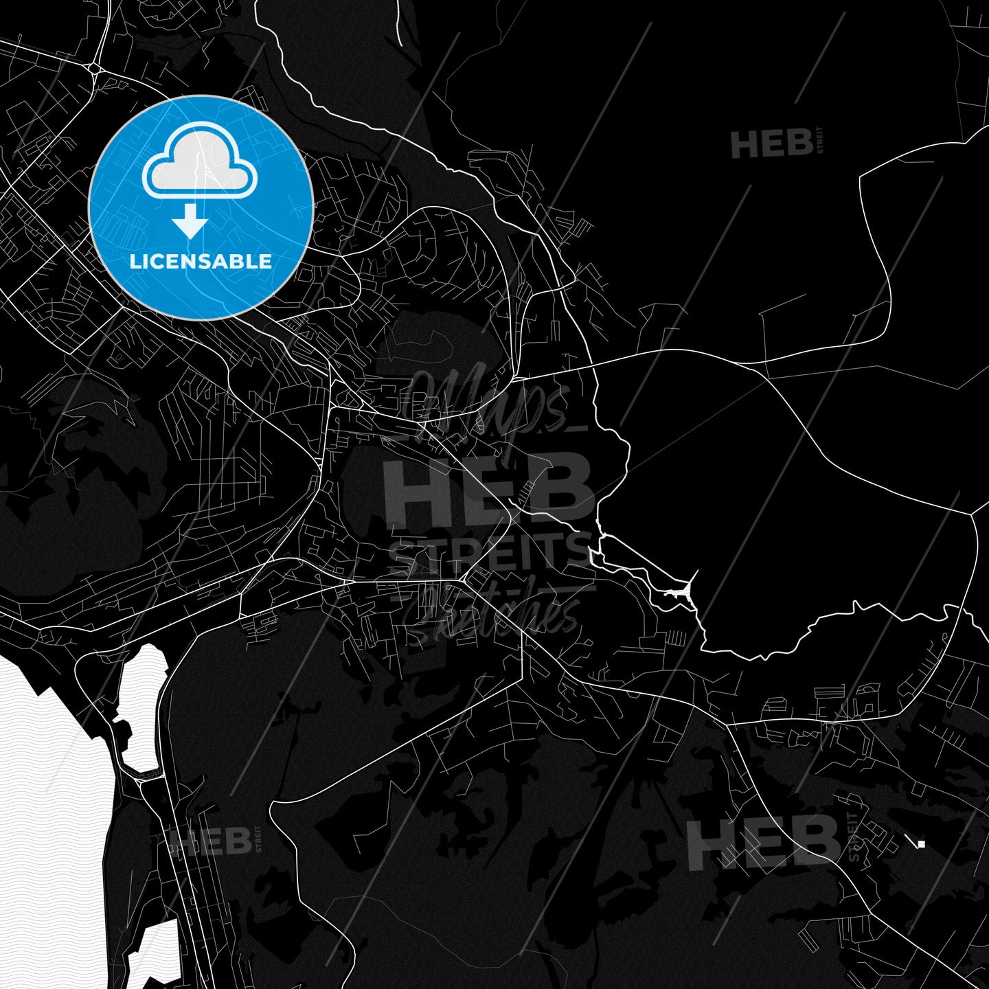 Petropavlovsk-Kamchatsky, Russia PDF map