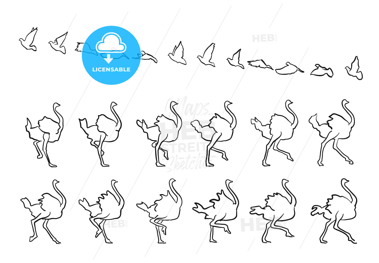 Pigeon and Ostrich framed Fly and Walk – instant download