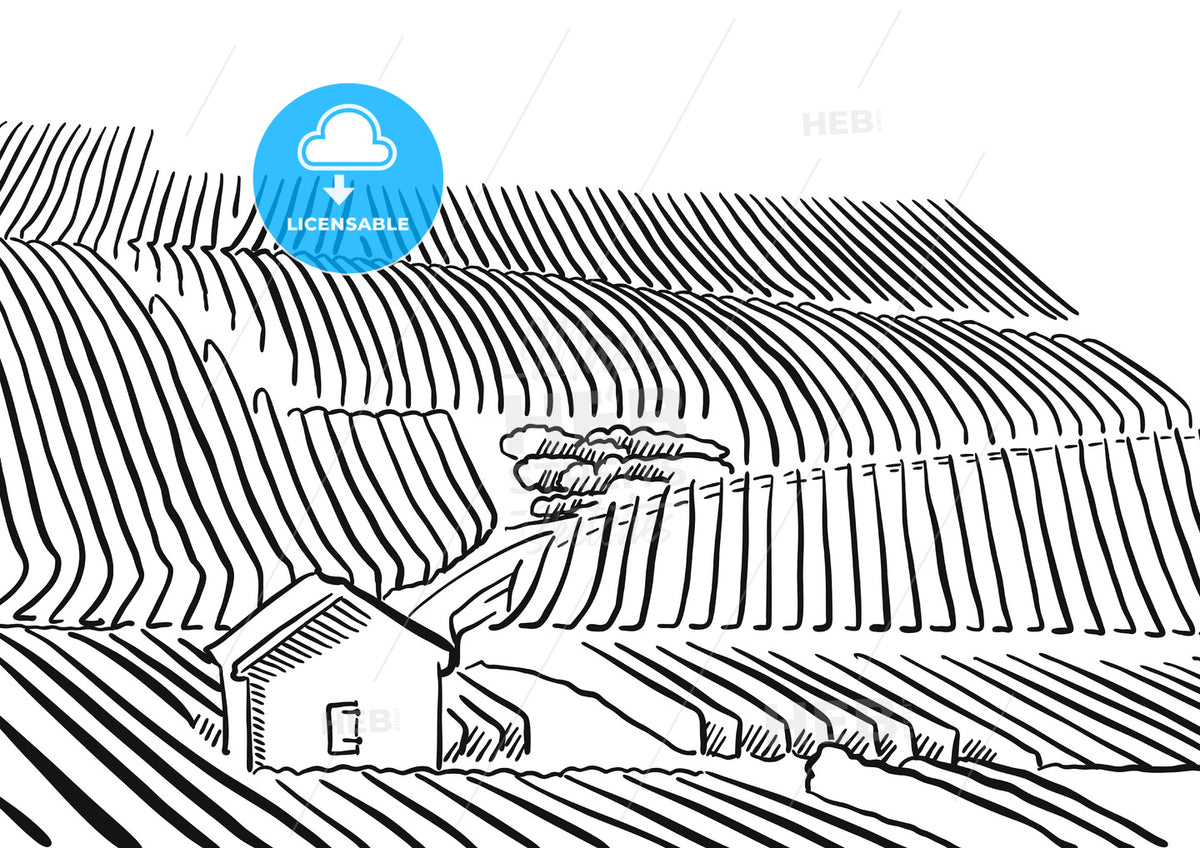 Provence Vineyard whith hills and small House – instant download