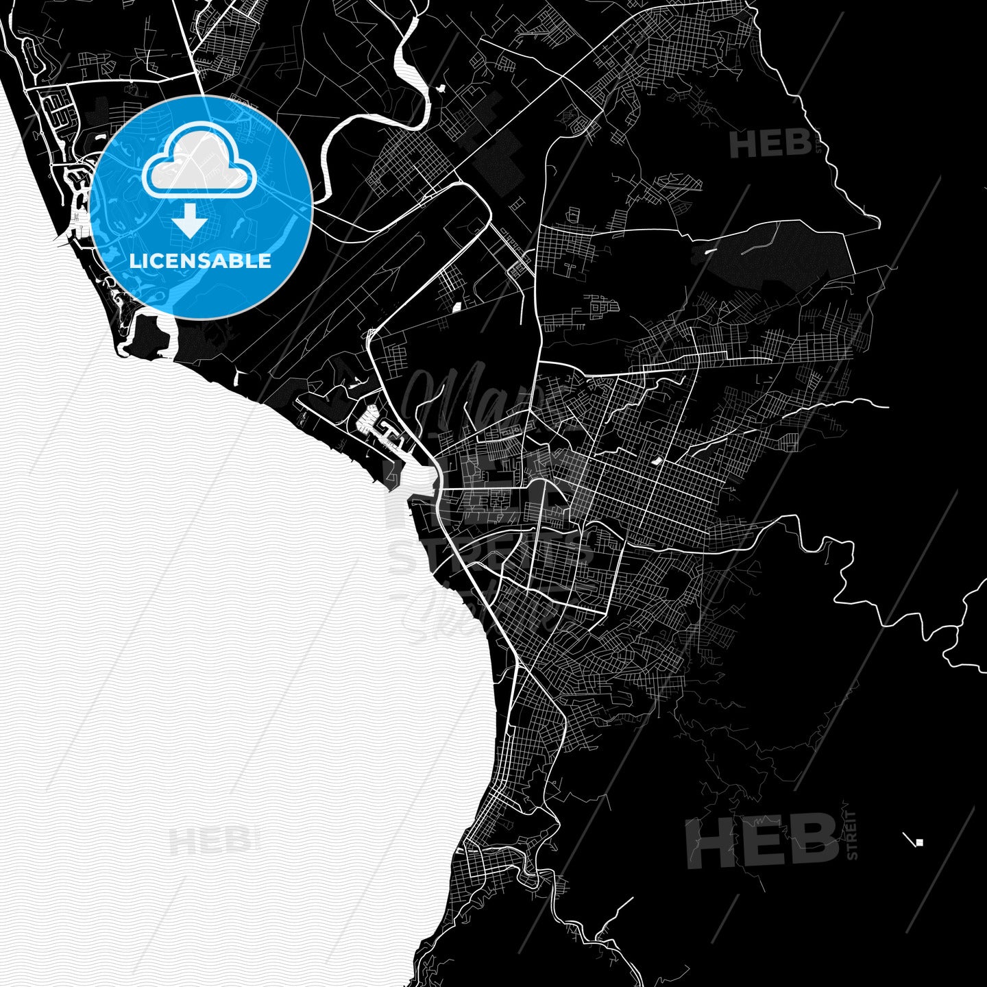 Puerto Vallarta, Mexico PDF map