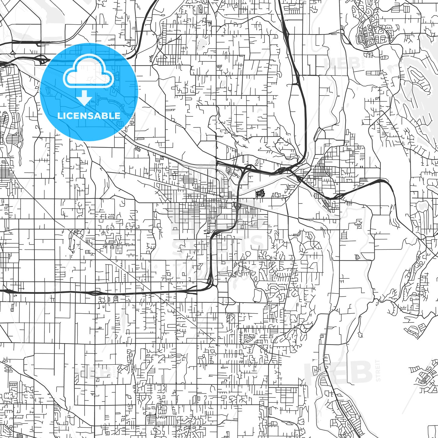 Puyallup, Washington - Area Map - Light
