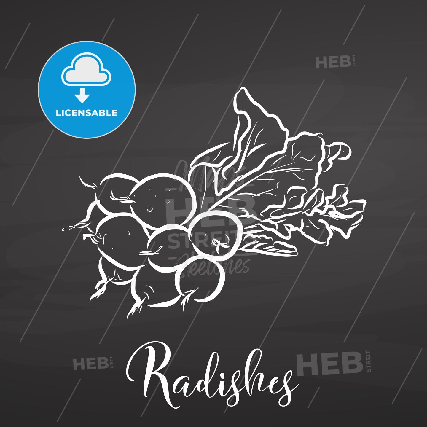 Radishes drawn on Blackboard. – instant download