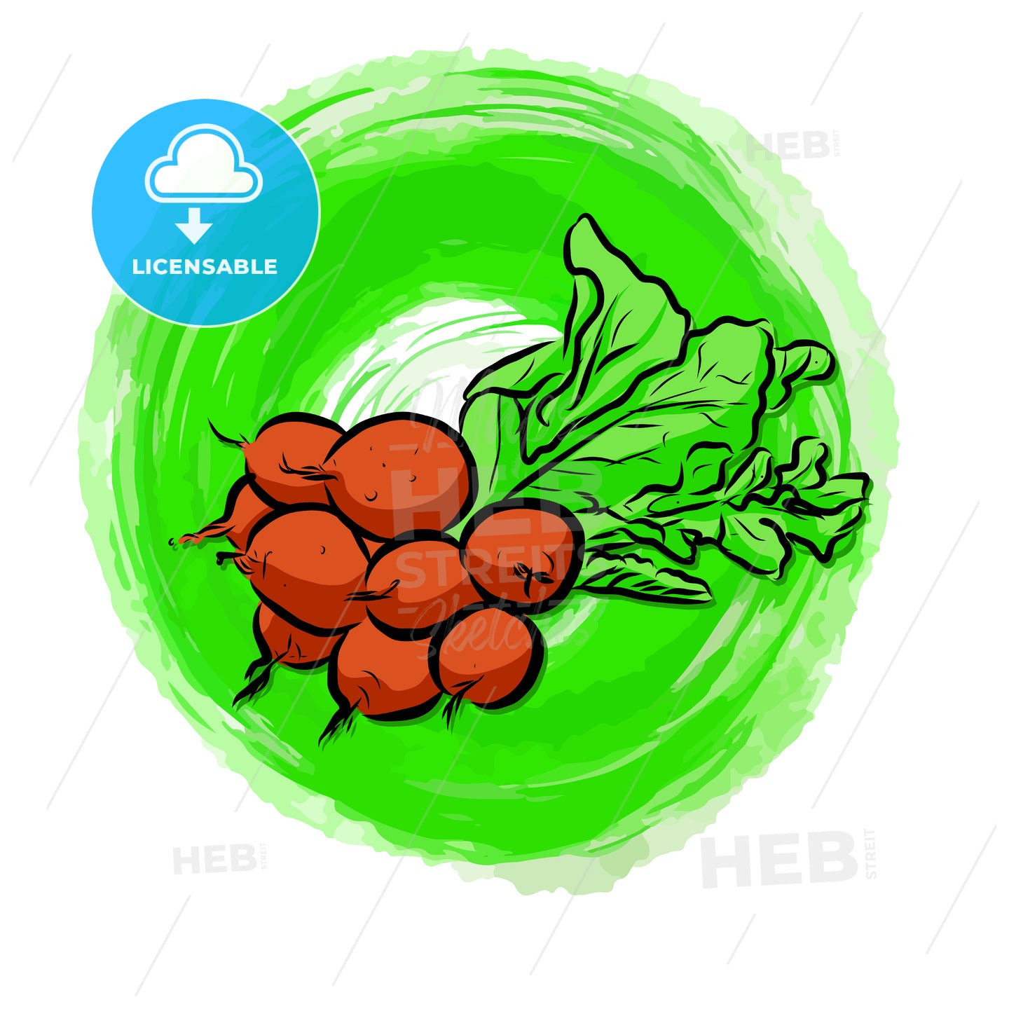 Radishes painted background – instant download