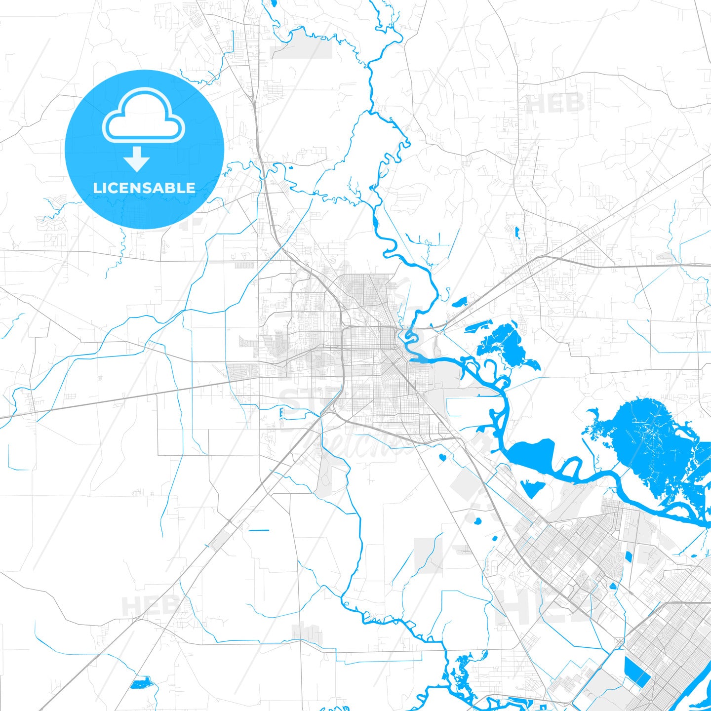 Rich detailed vector map of Beaumont Texas USA