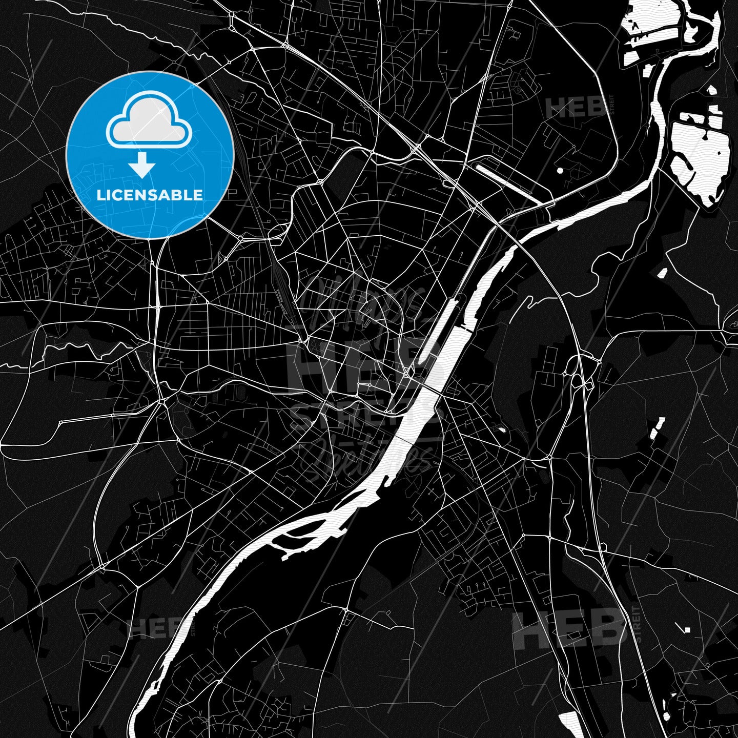 Roanne, France PDF map