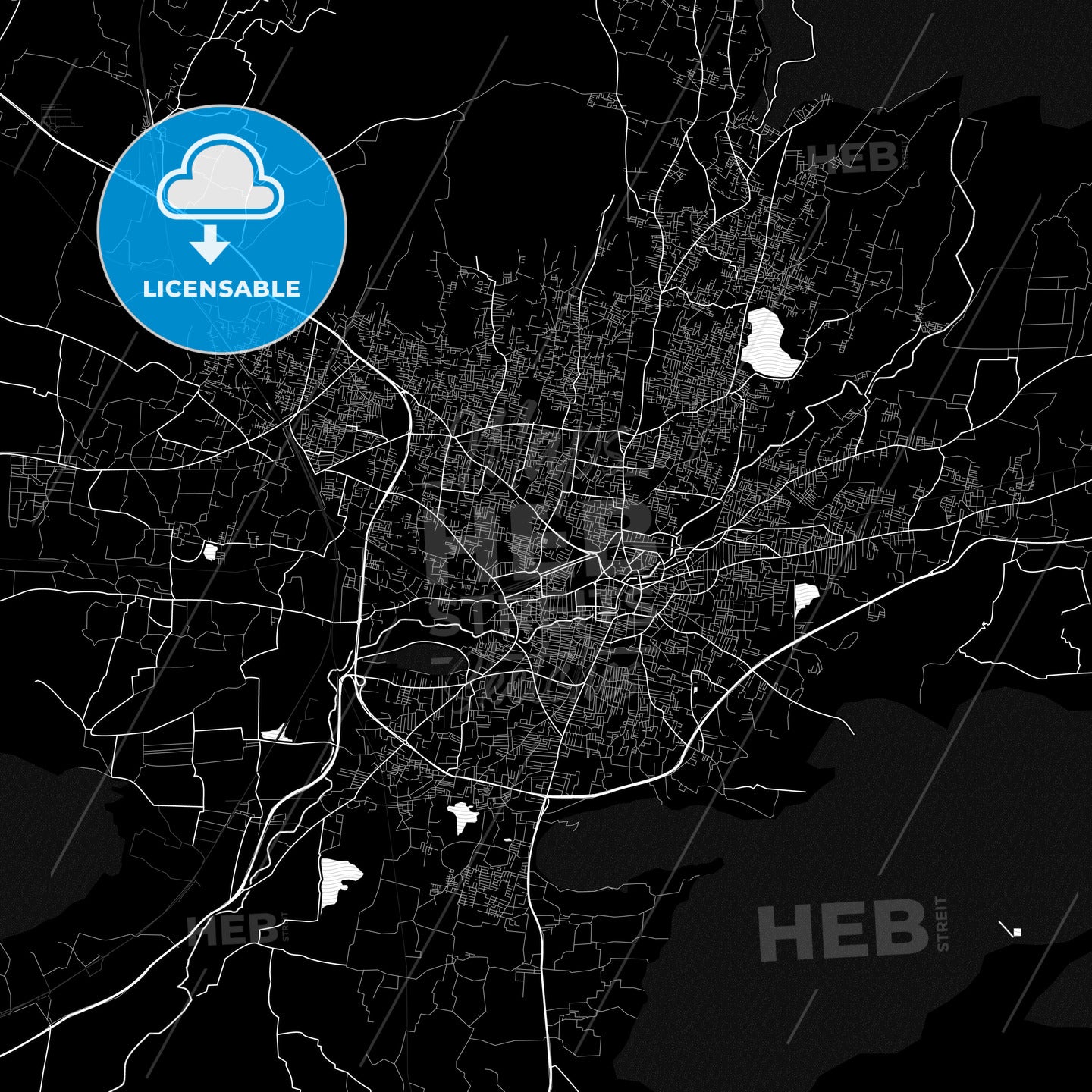 Salem, India PDF map