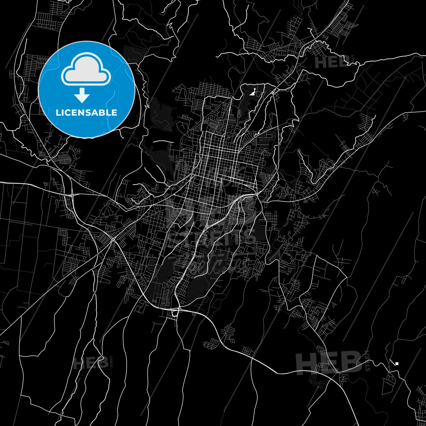 Santa Ana, El Salvador PDF map