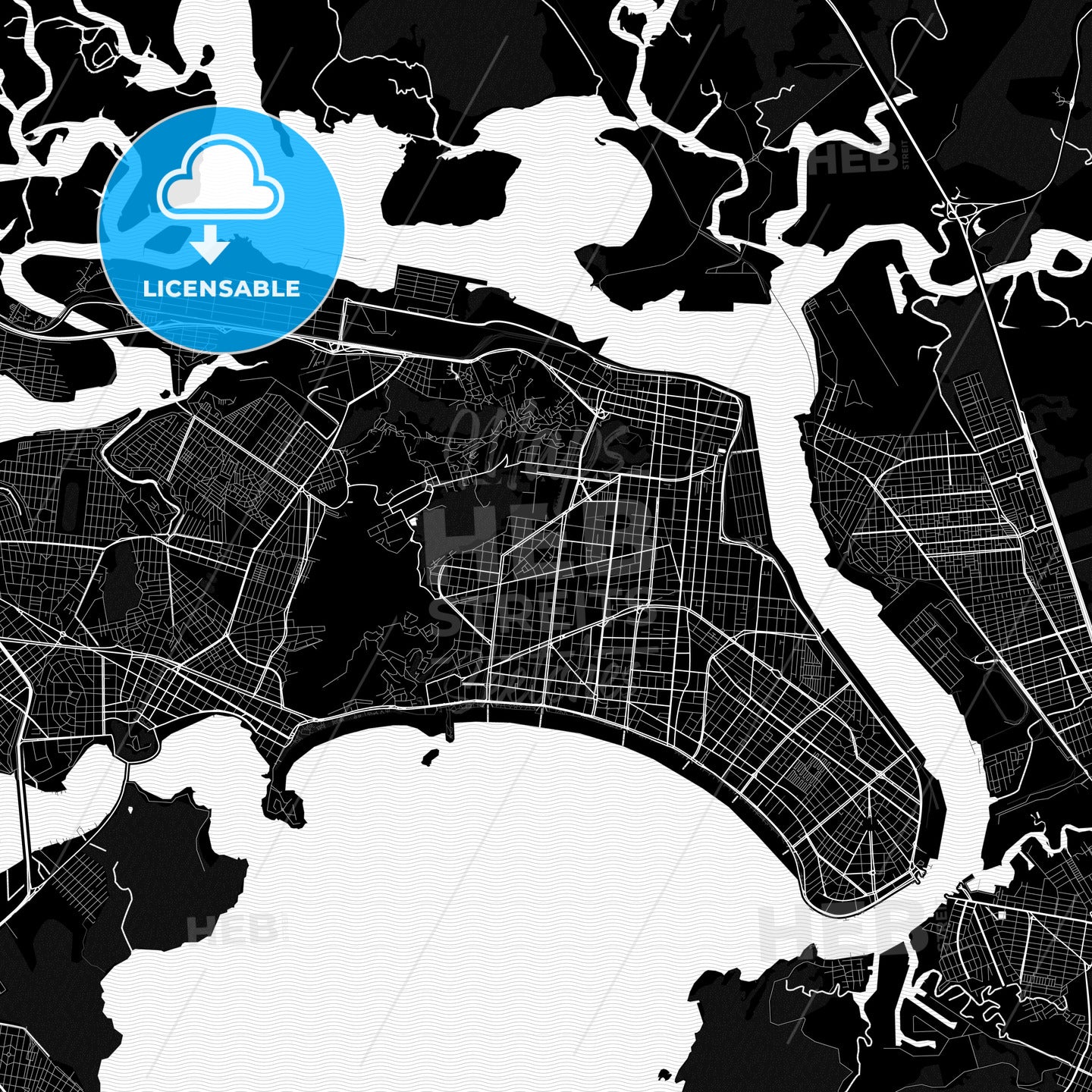 Santos, Brazil PDF map