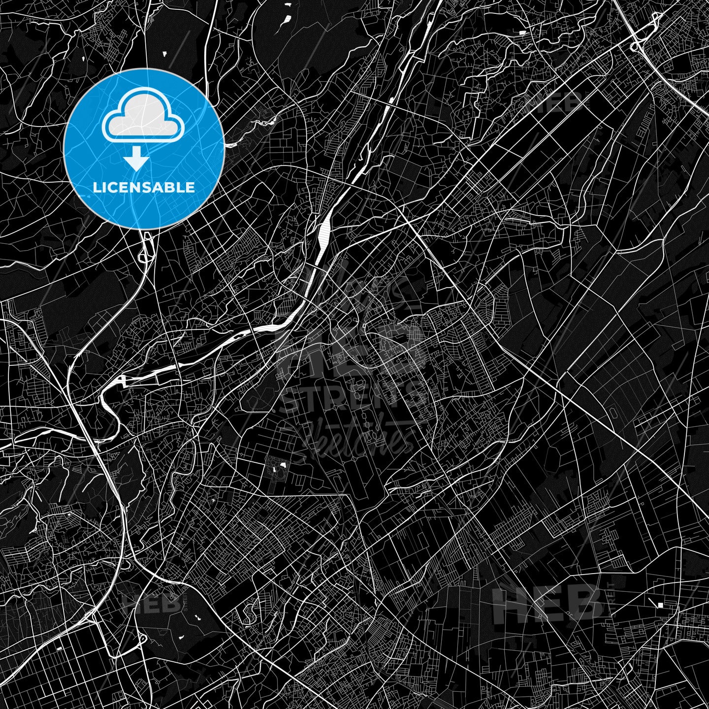 Sayama, Japan PDF map