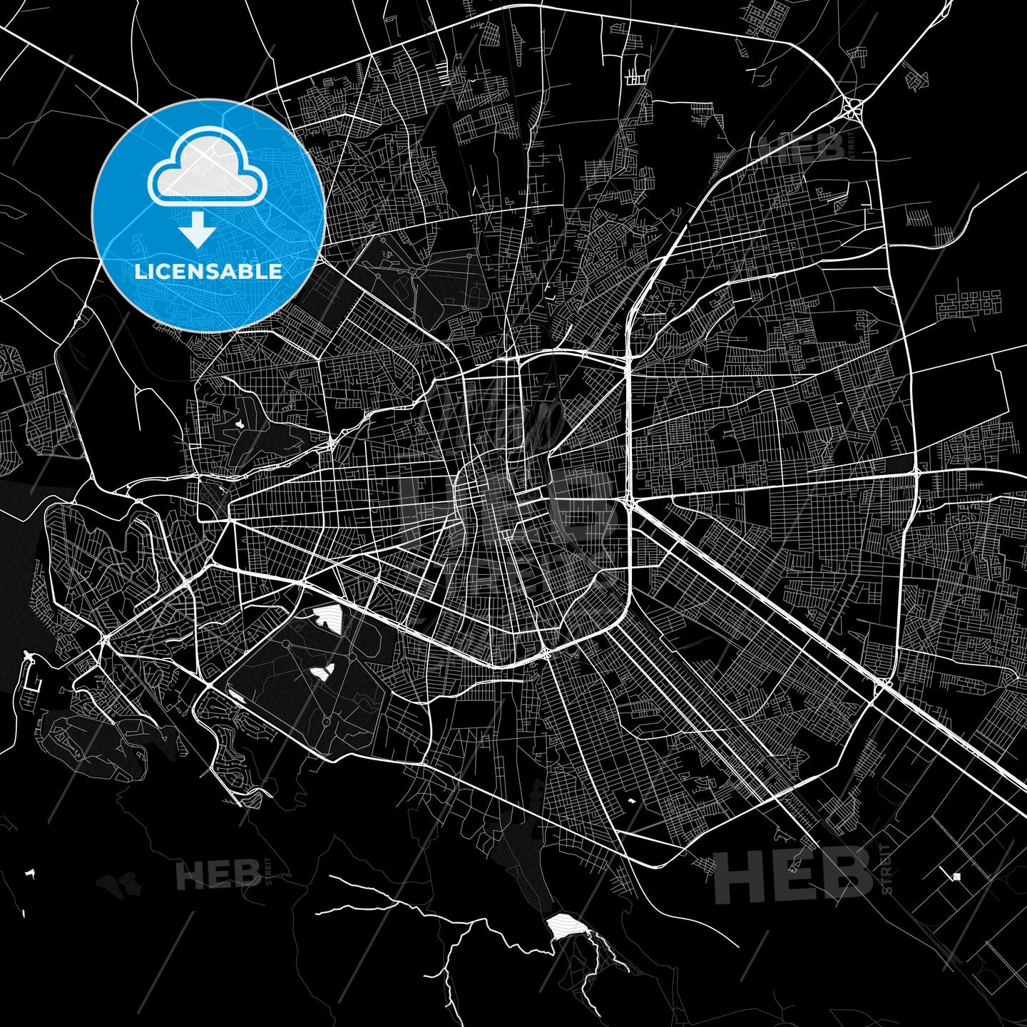 Soledad de Graciano Sánchez, Mexico PDF map