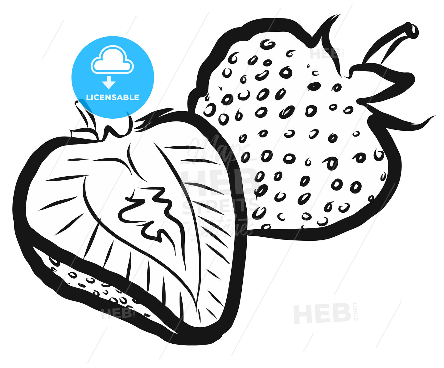 Strawberries Outline Vector Illustration – instant download