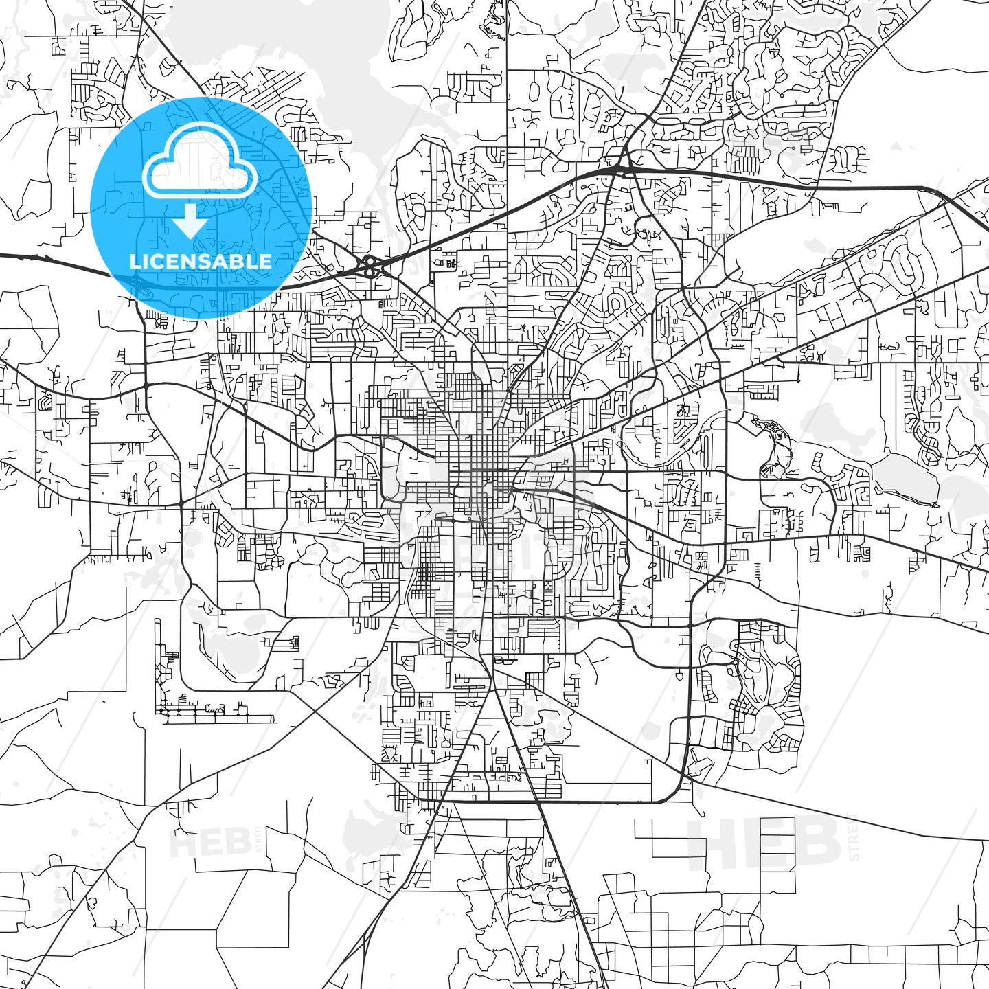 Tallahassee, Florida - Area Map - Light