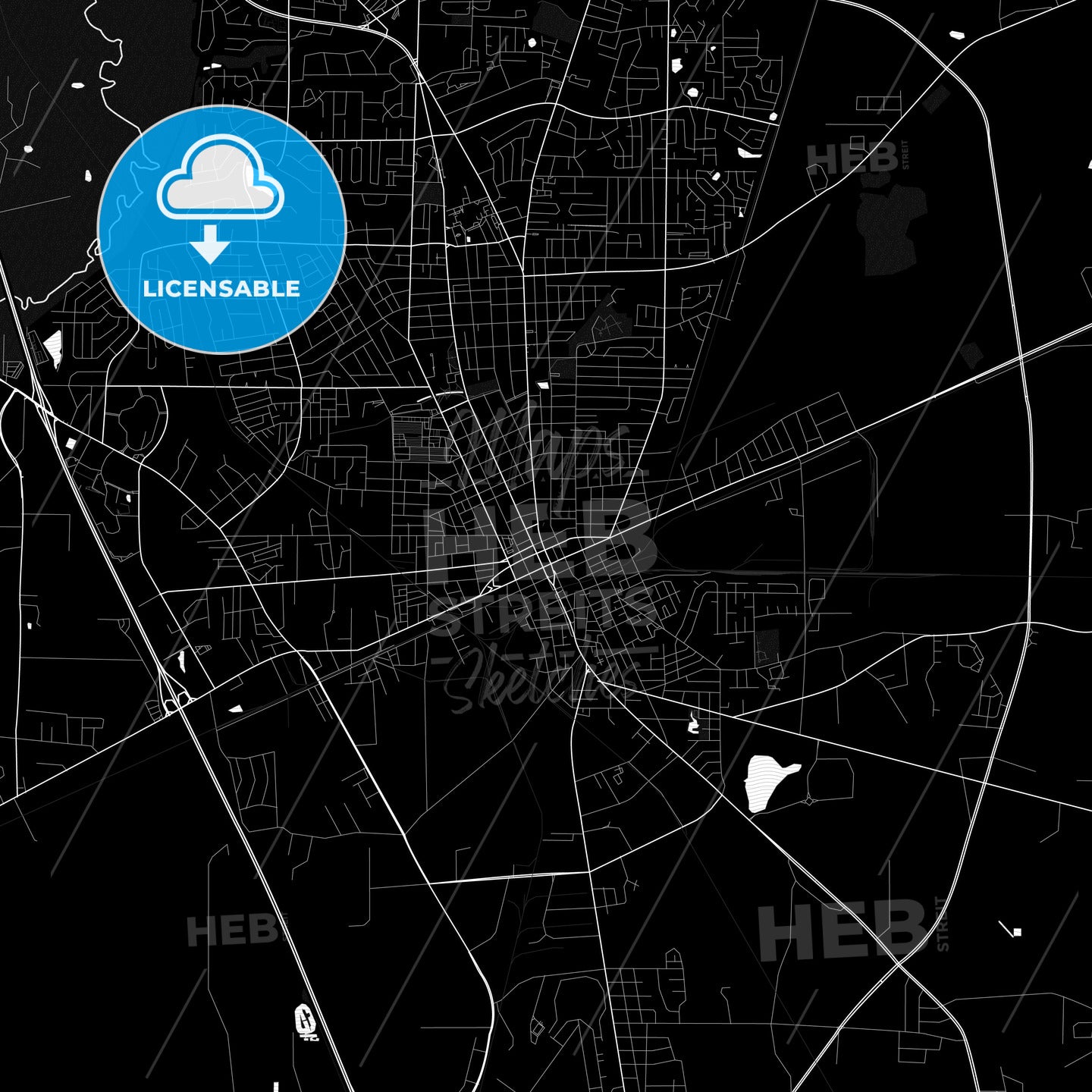 Valdosta, Georgia, United States, PDF map