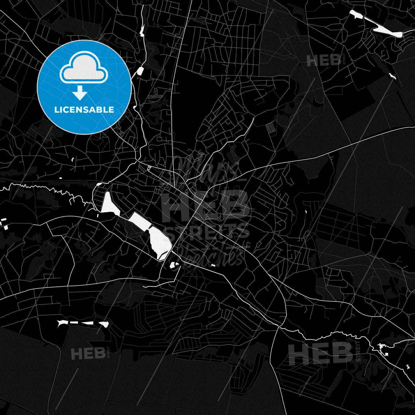 Vasylkiv, Ukraine PDF map